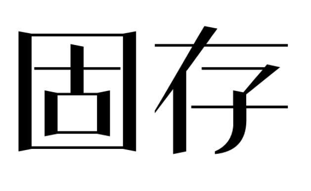 固存