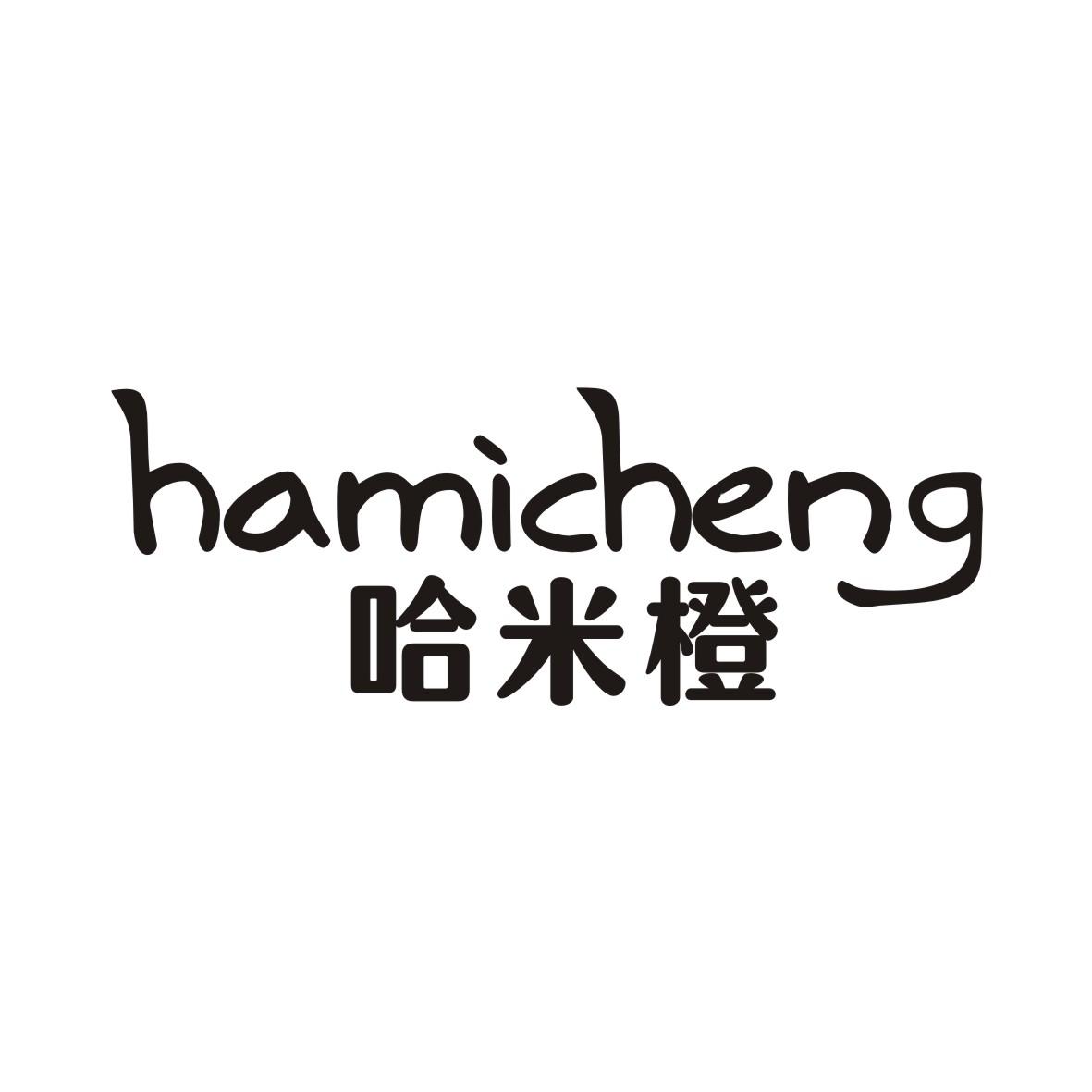 哈米橙HAMICHENG