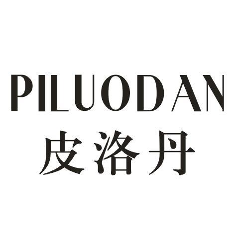 皮洛丹