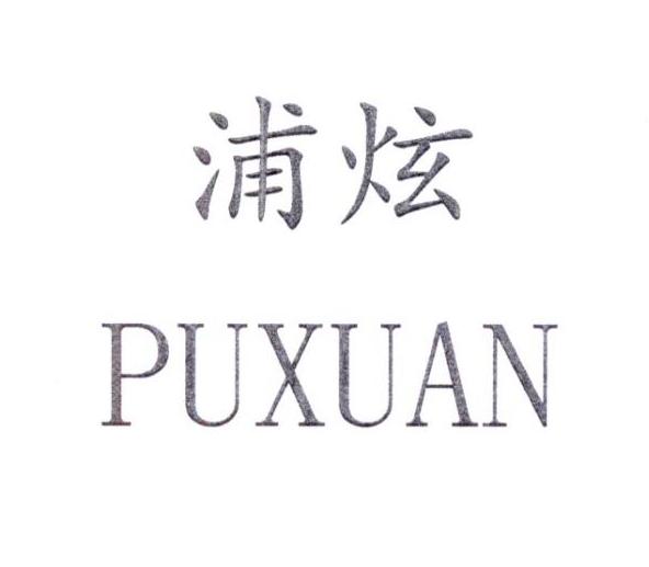 浦炫PUXUAN