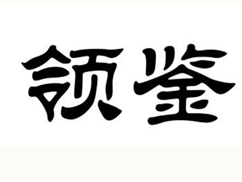 领鉴