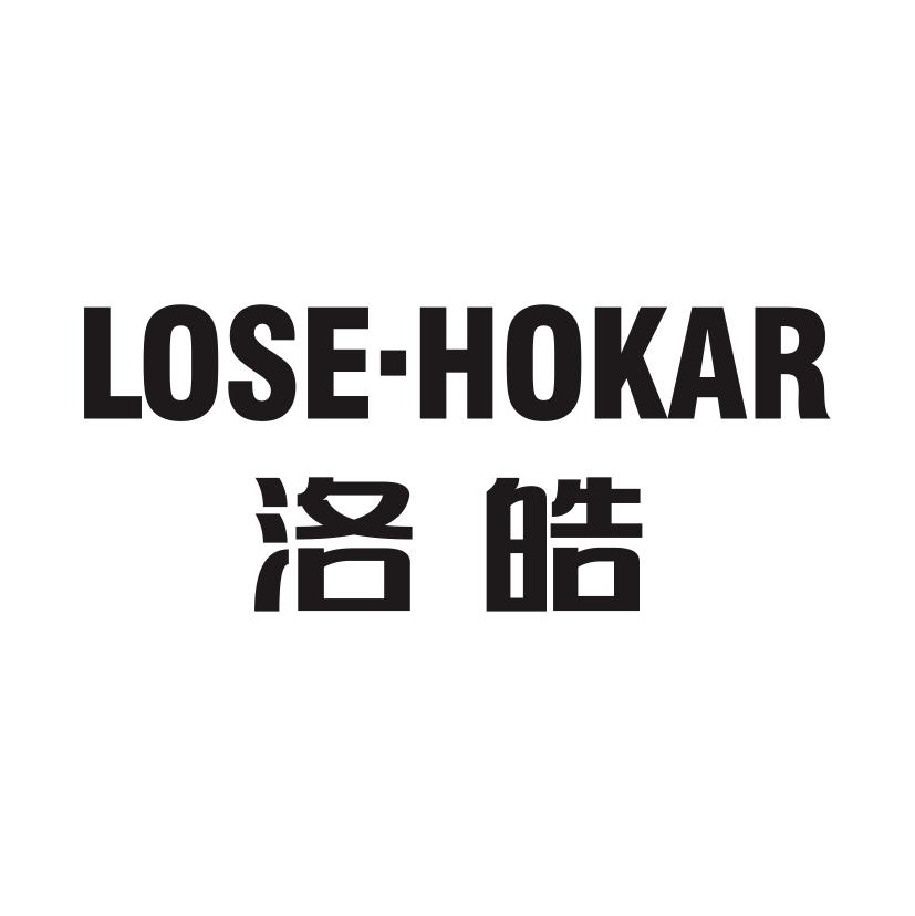 洛皓