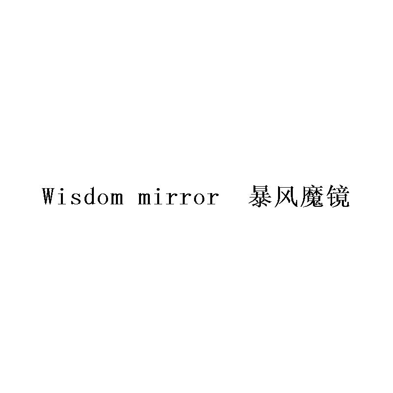 暴风魔镜 WISDOM MIRROR