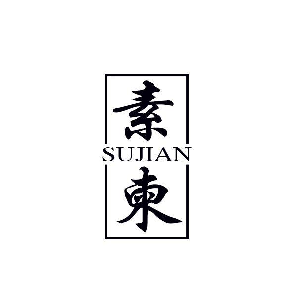  素柬
