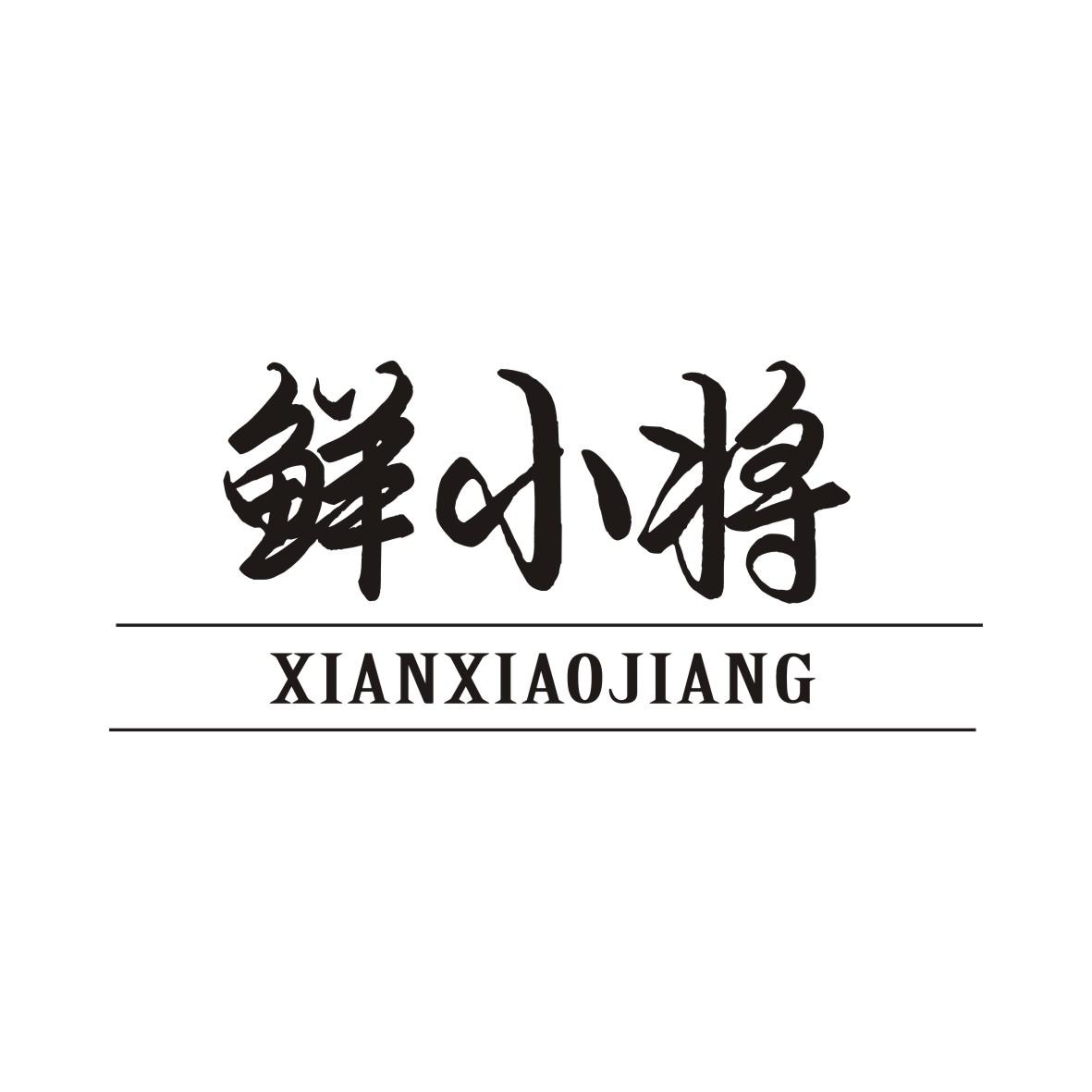 鲜小将