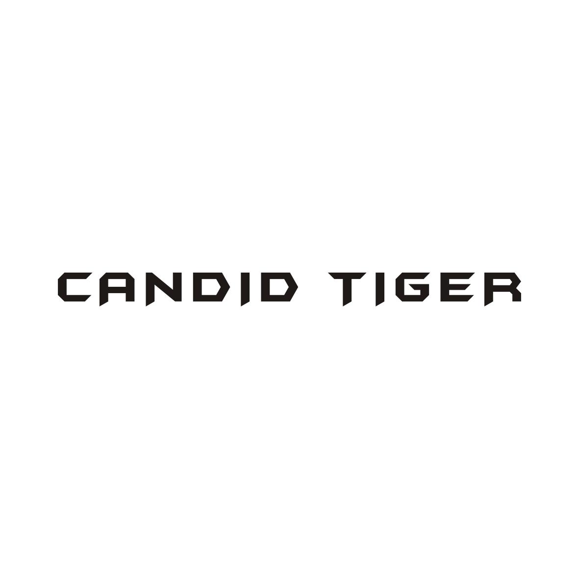 CANDID TIGER（公正虎）