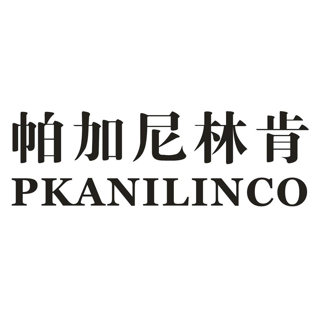 帕加尼林肯PKANILINCO