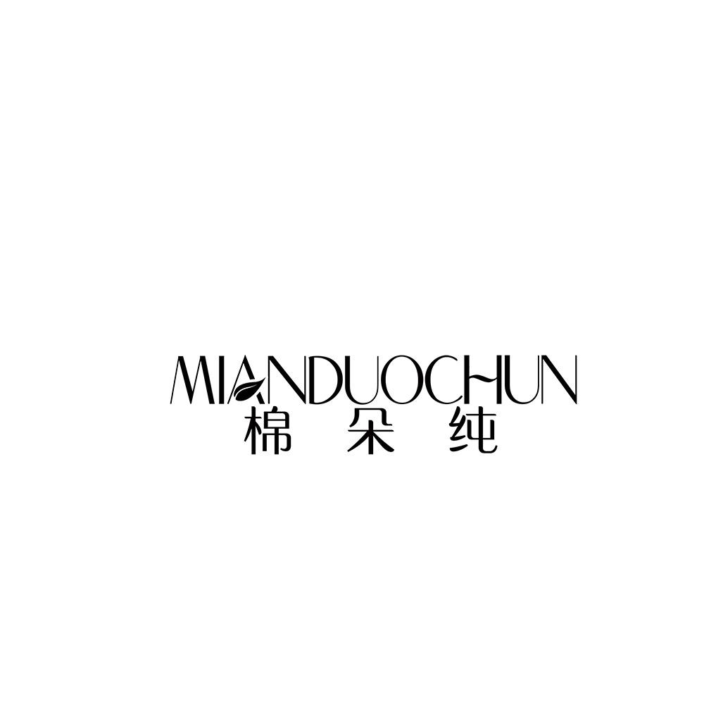 棉朵纯