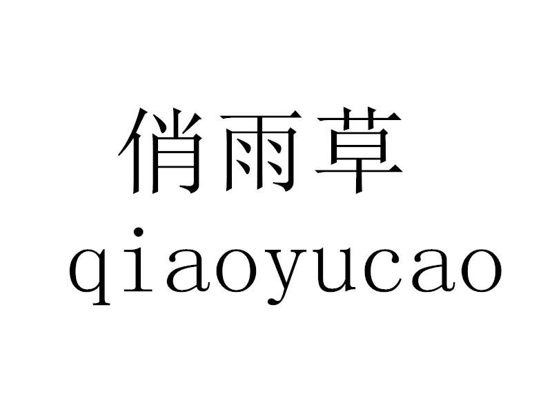俏雨草
