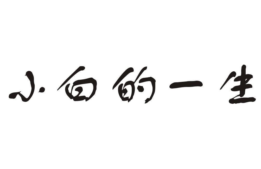 小白的一生