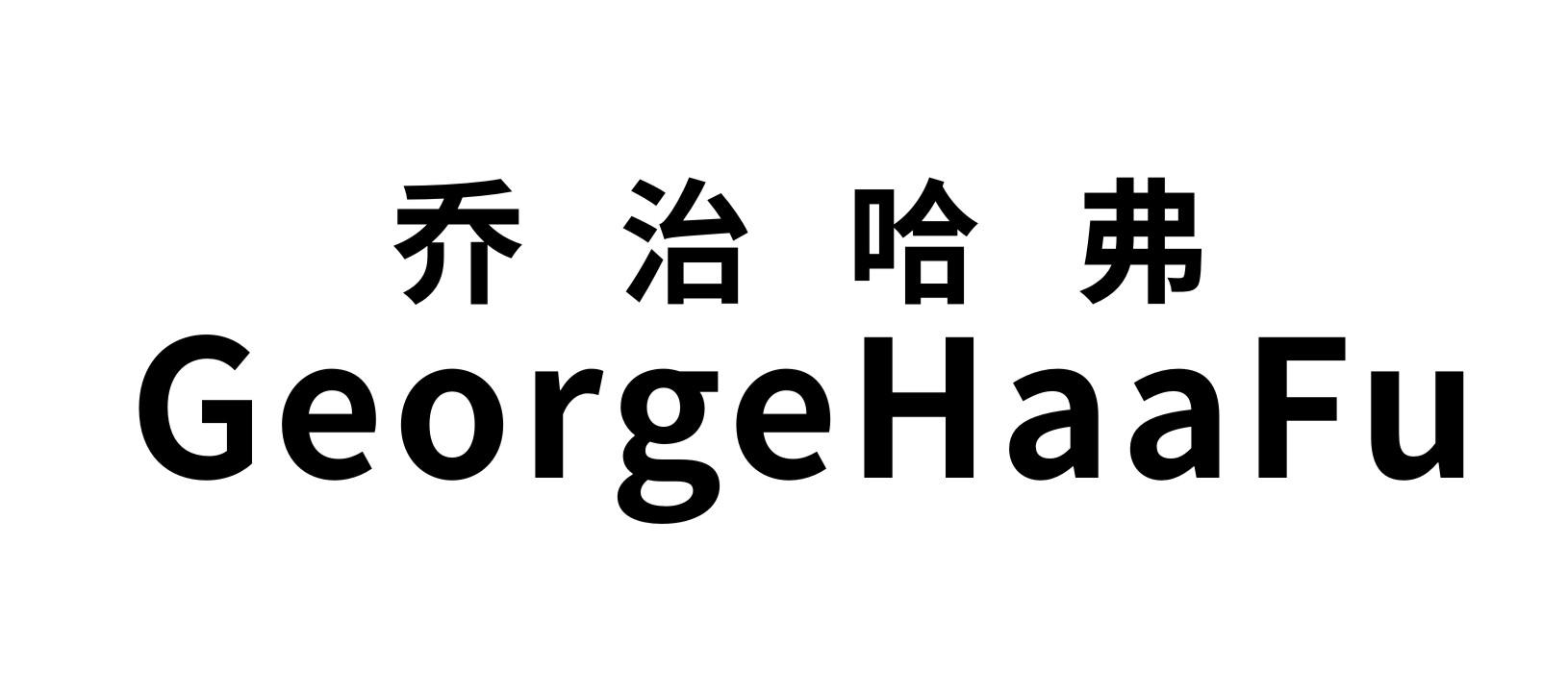 乔治哈 弗
