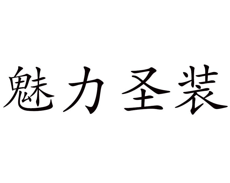 魅力圣装