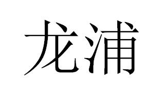 龙浦