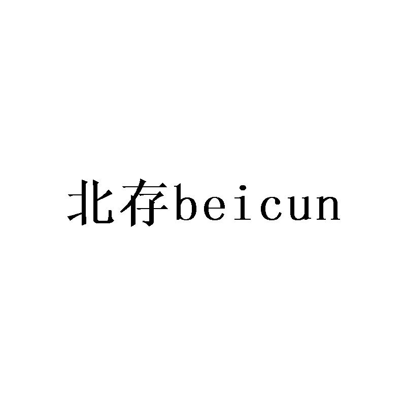 北存beicun