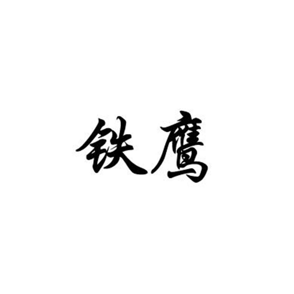 铁鹰
