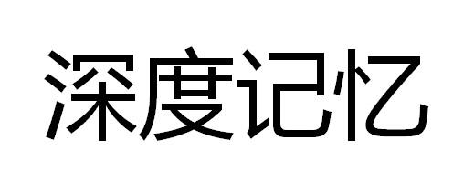 深度记忆