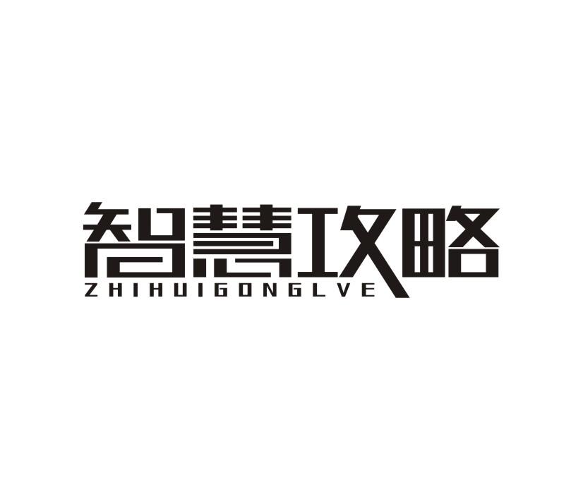 智慧攻略