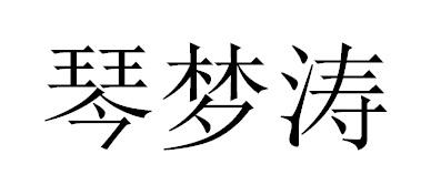 琴梦涛