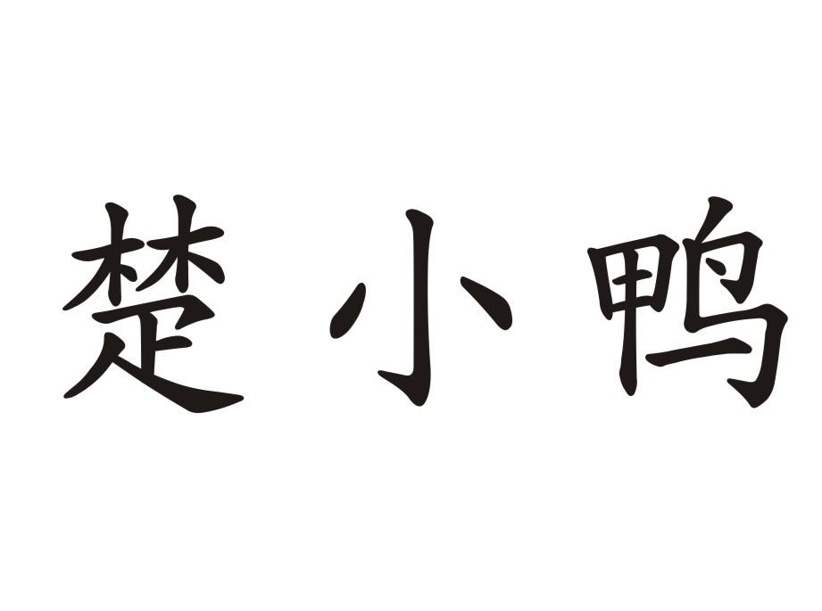 楚小鸭