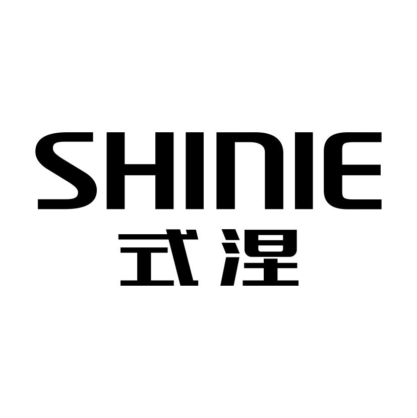 式涅