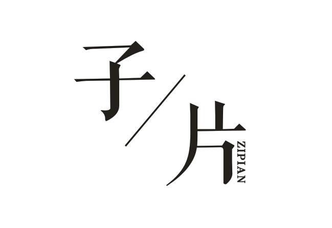 子片
