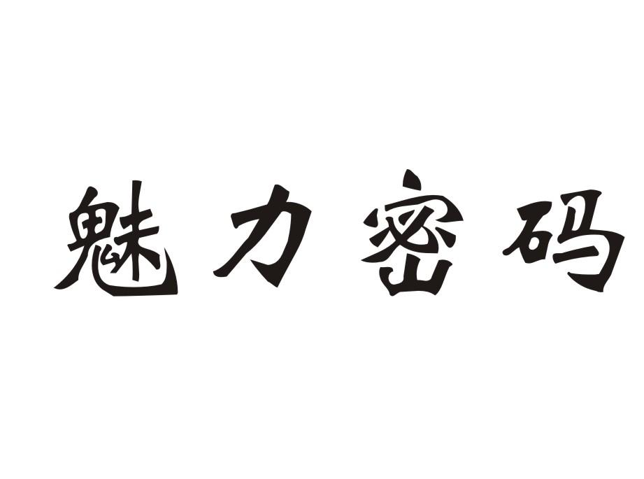 魅力密码