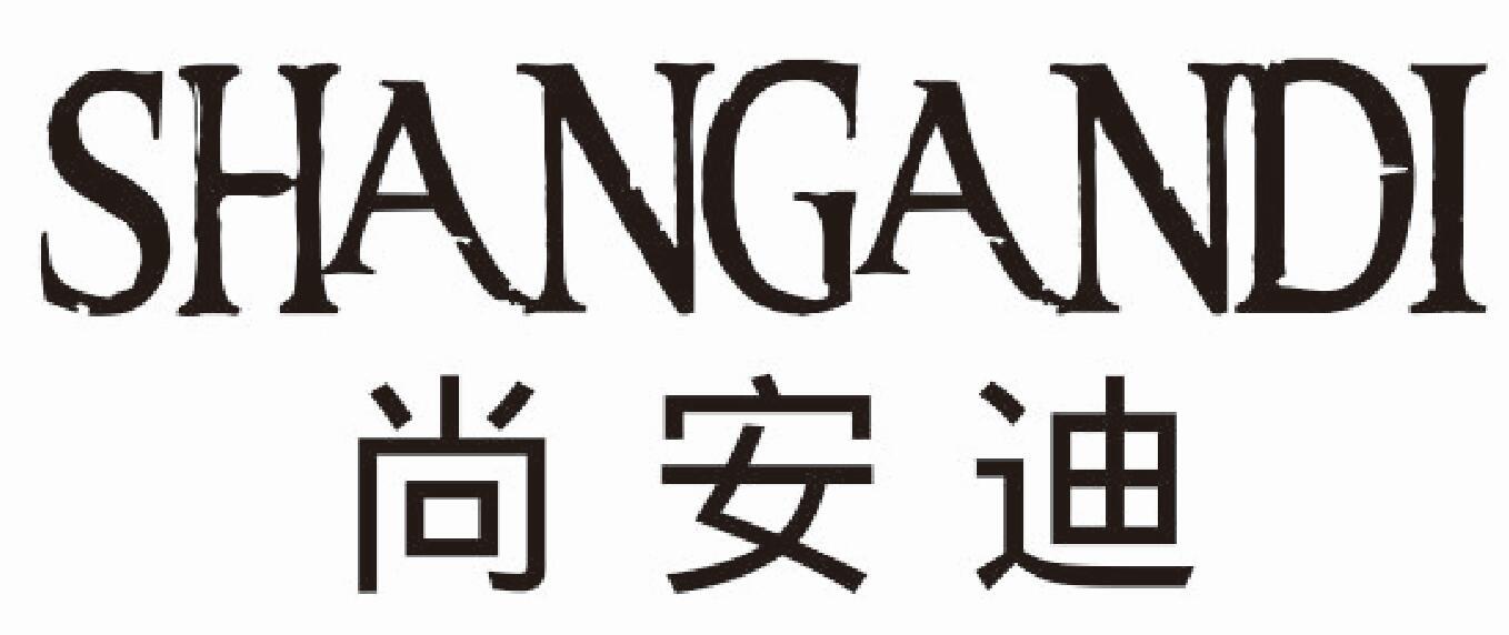 尚安迪