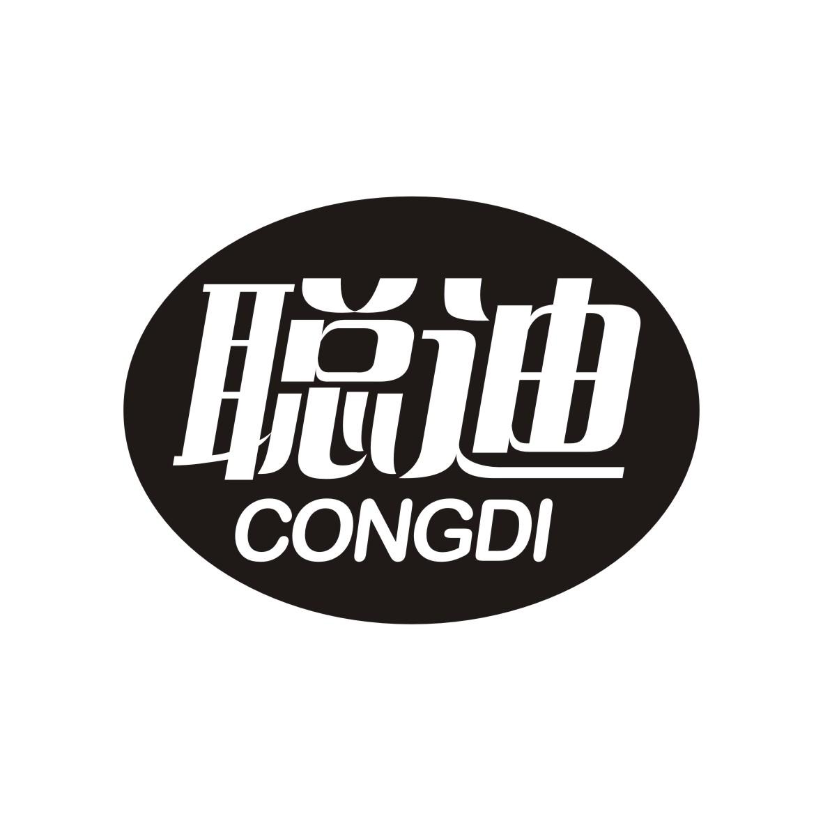 聪迪