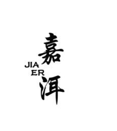 嘉洱