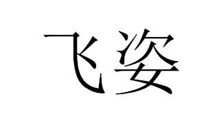 飞姿