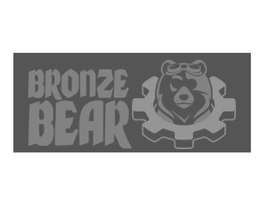 BRONZE BEAR