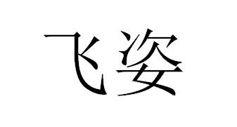 飞姿