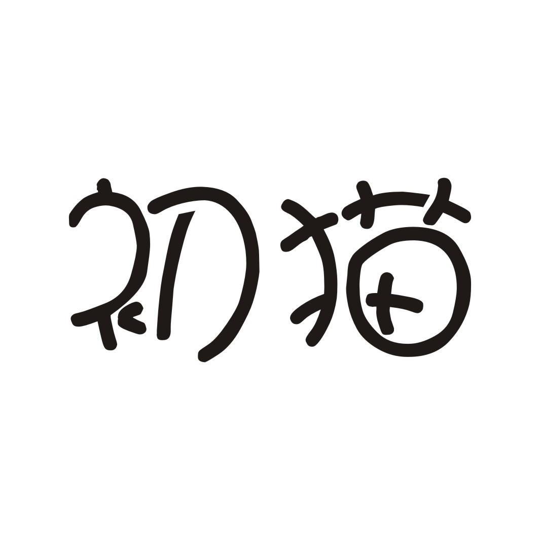初猫