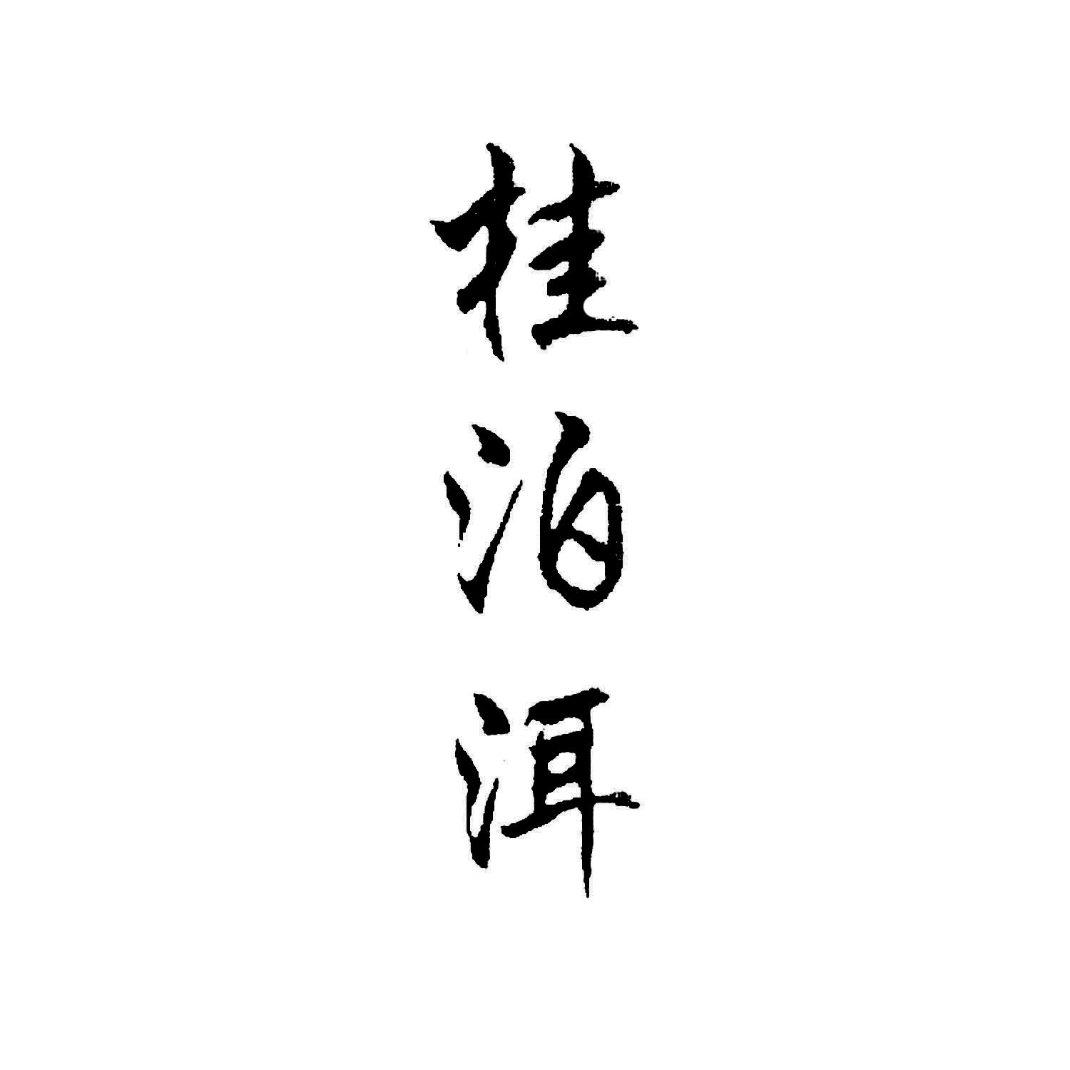 桂泊洱