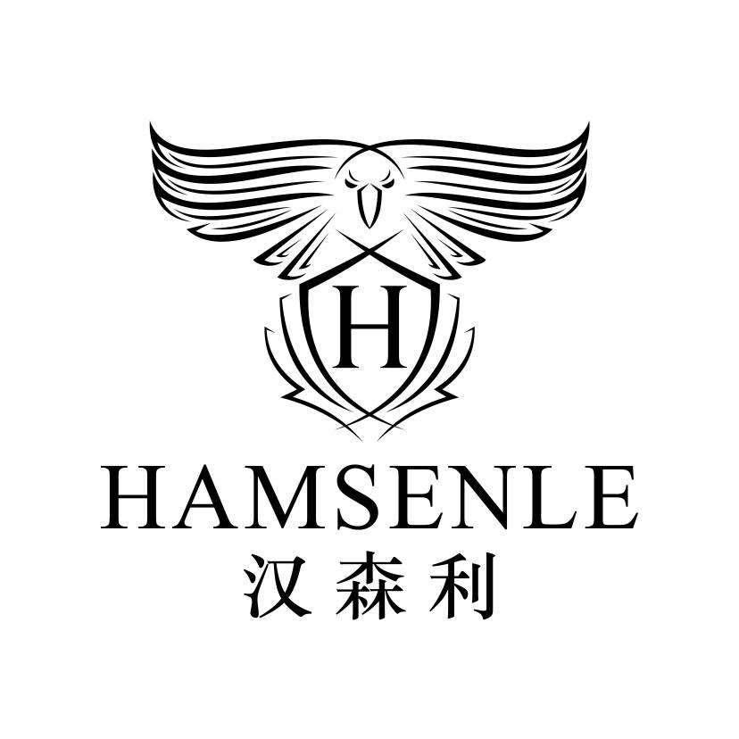 汉森利