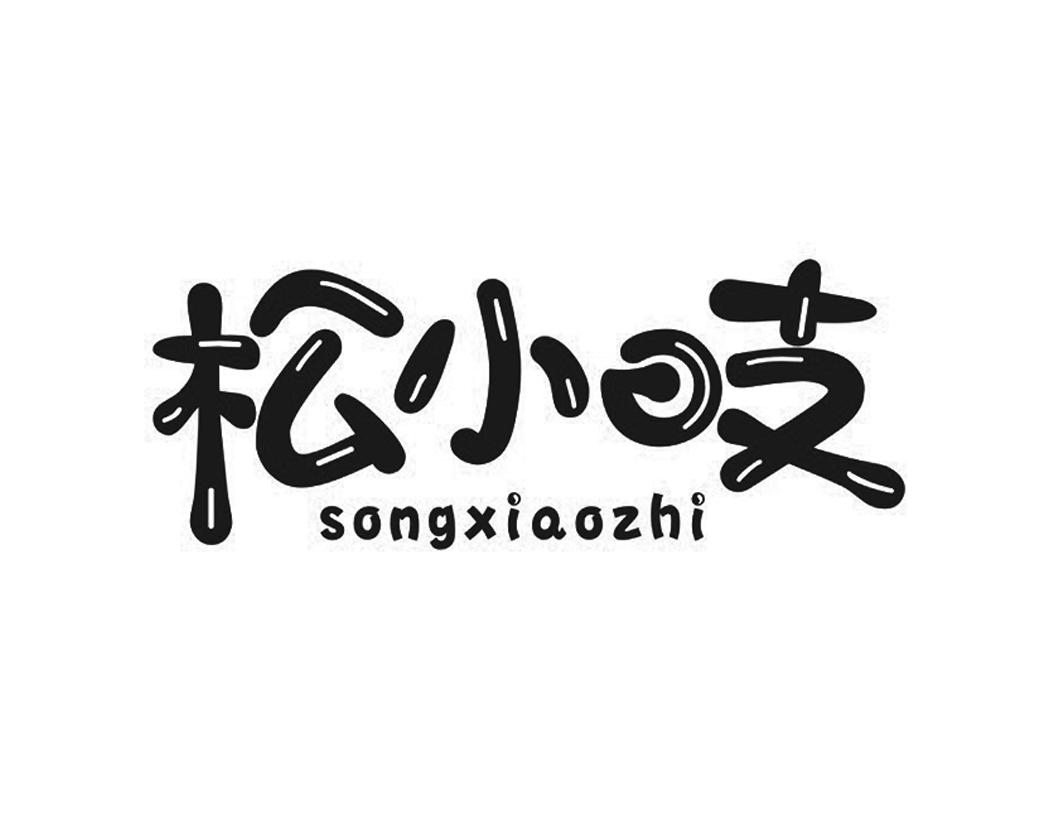 松小吱songxiaozhi