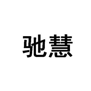 驰慧
