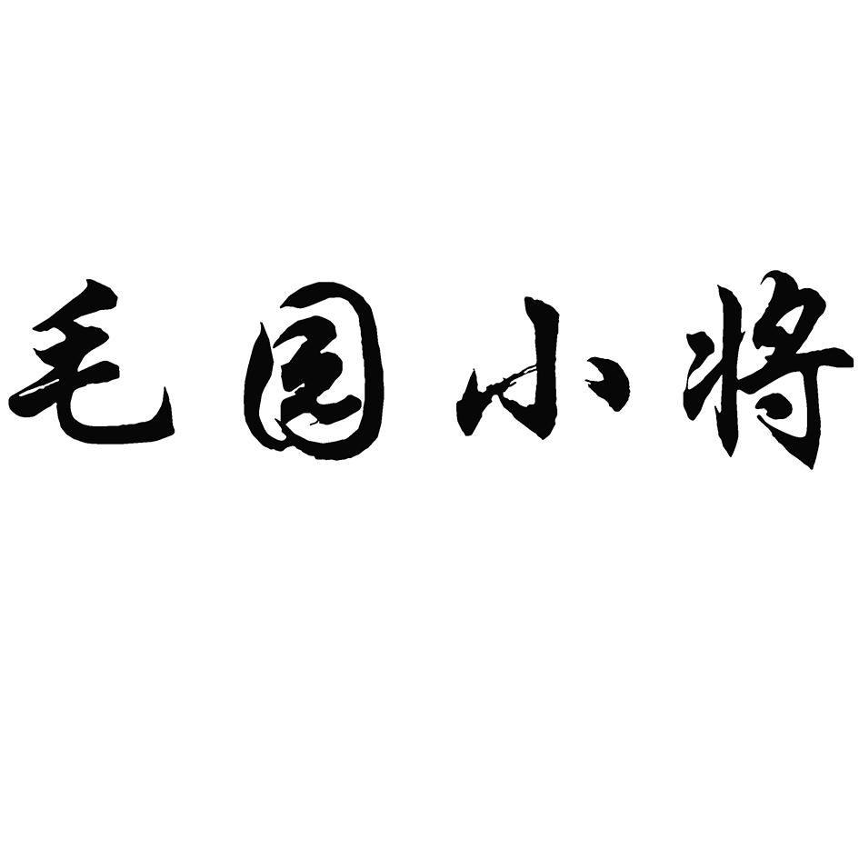 毛园小将