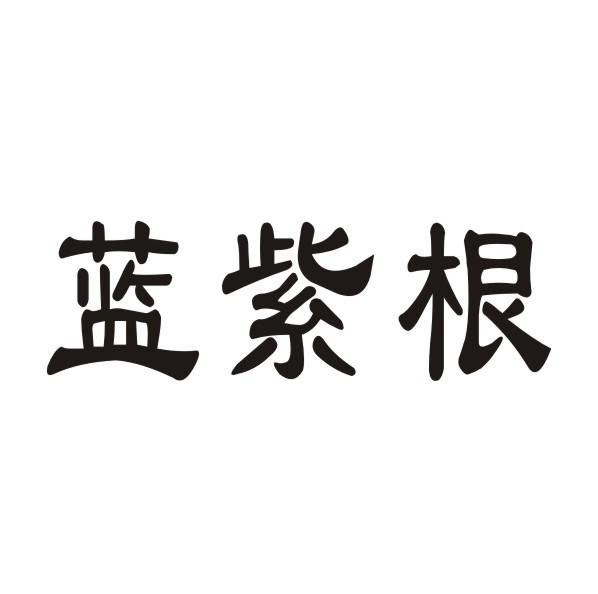 蓝紫根