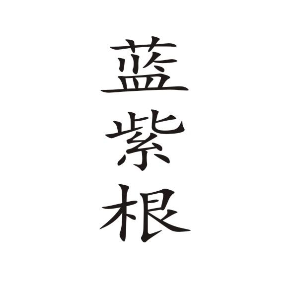 蓝紫根
