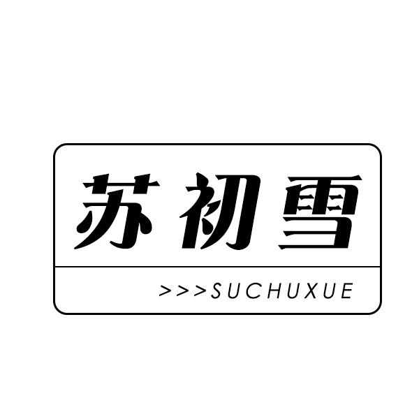 苏初雪