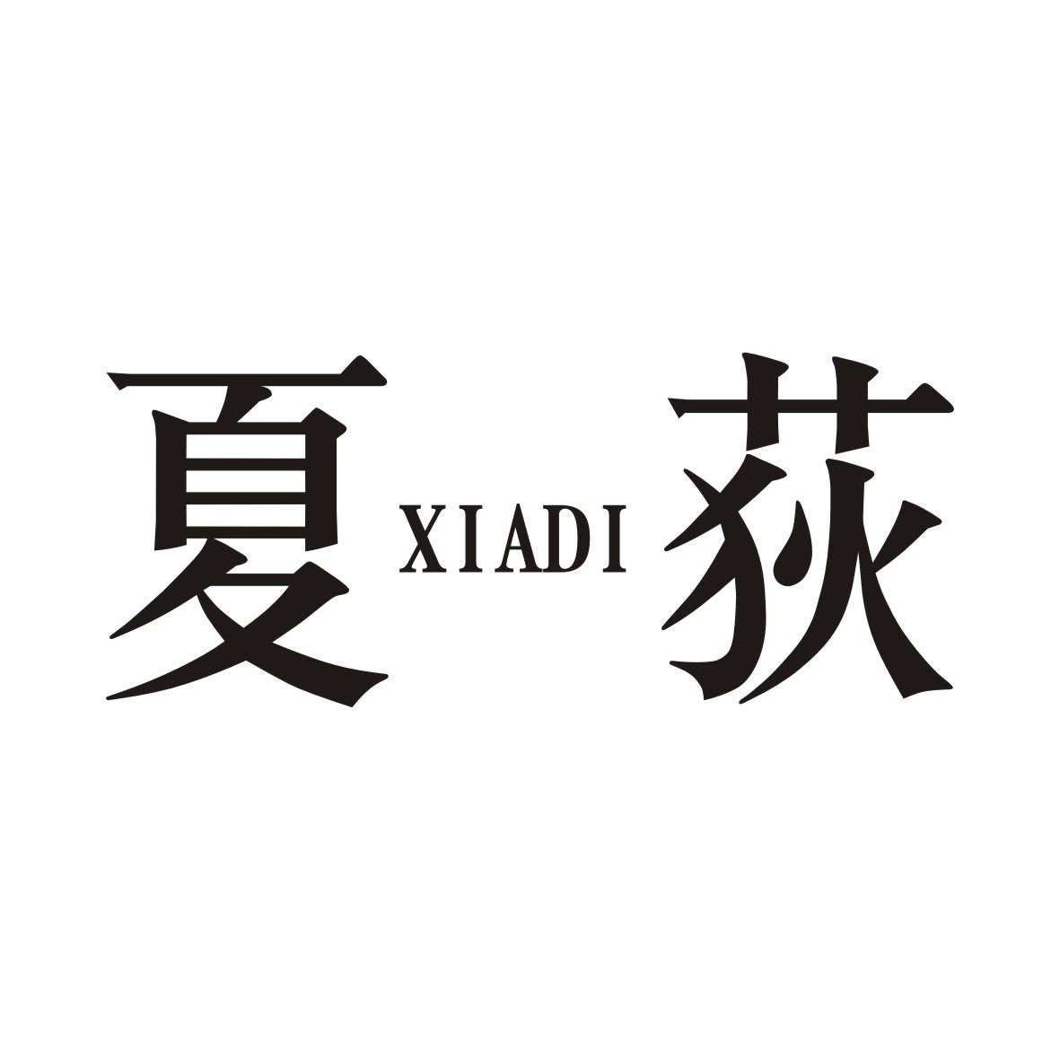 夏荻XIADI