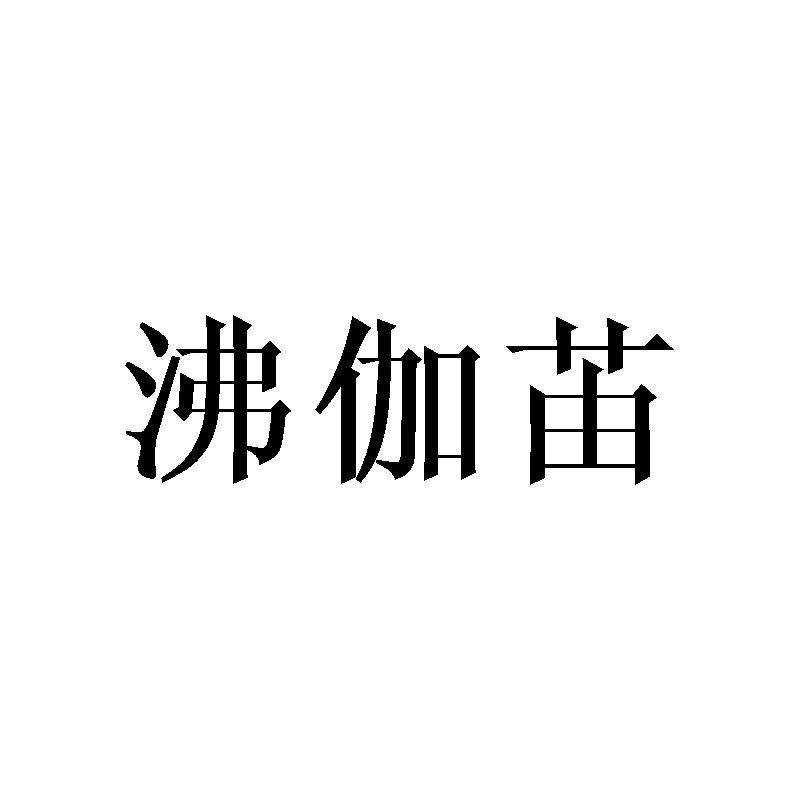 沸伽苖