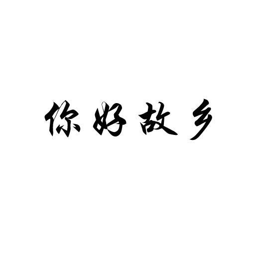 你好故乡 