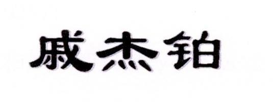 戚杰铂
