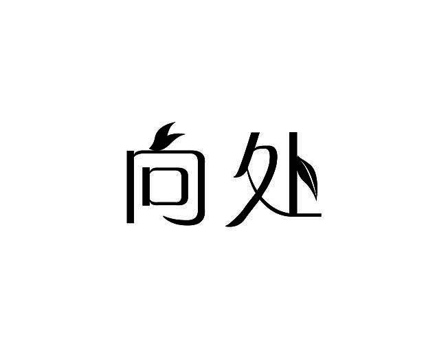 向处