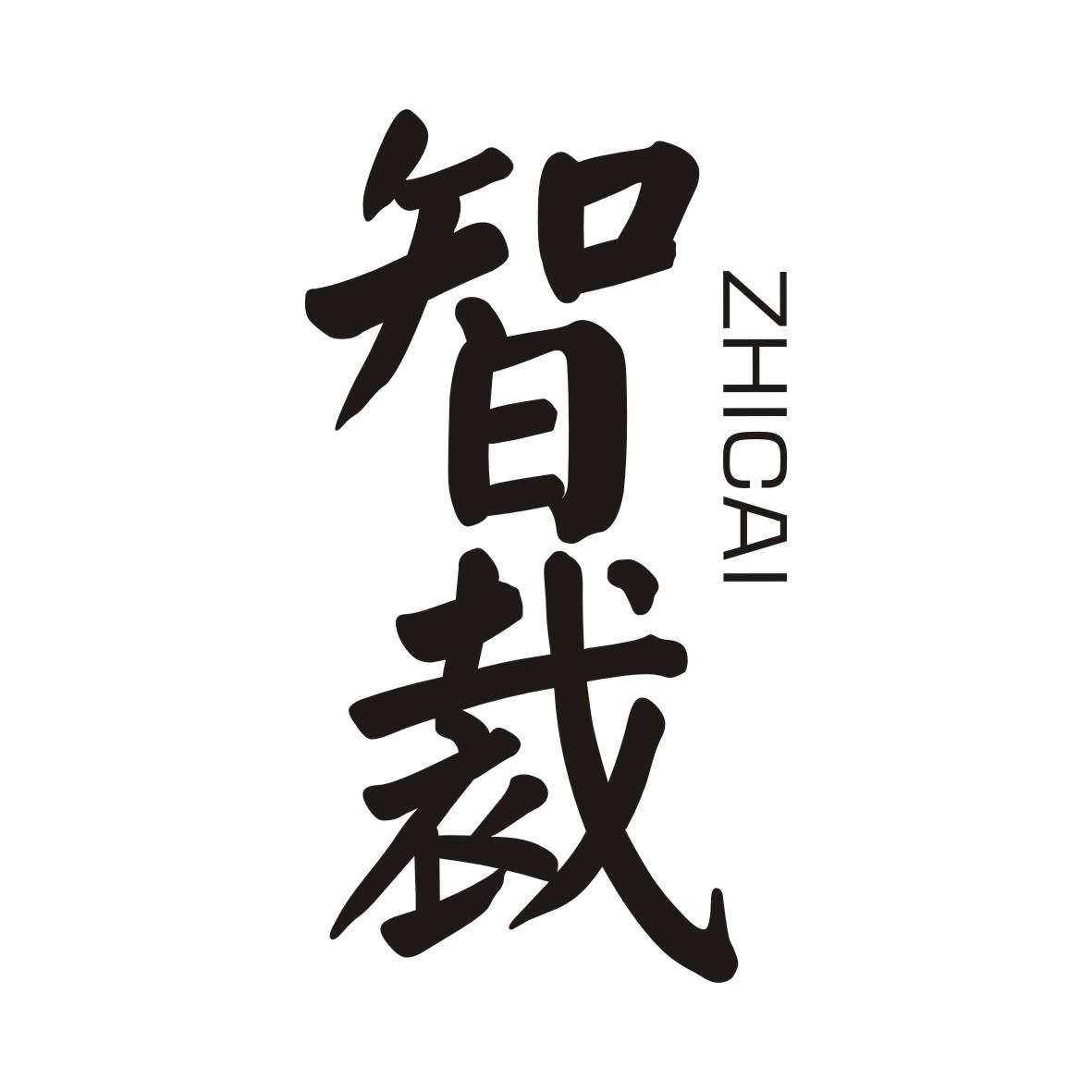 智裁ZHICAI