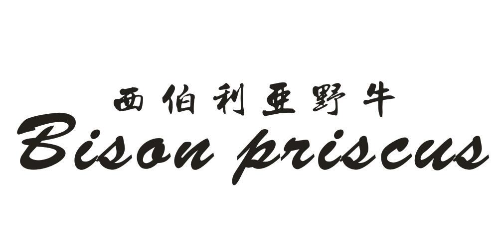 西伯利亚野牛