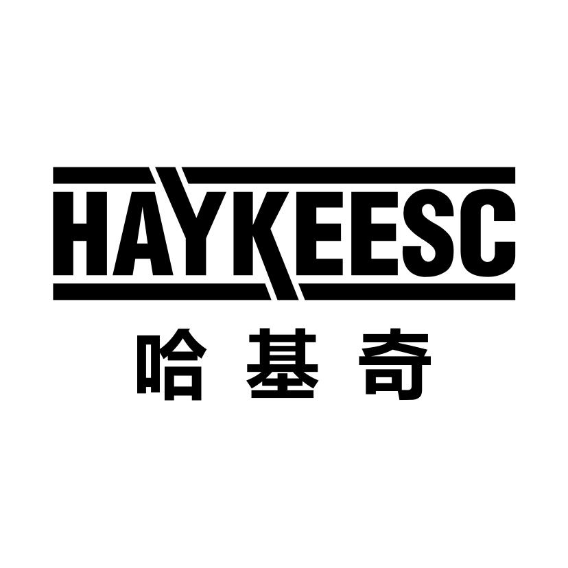哈基奇
HAYKEESC