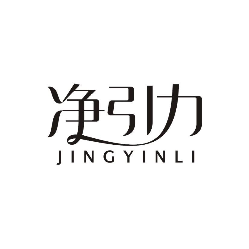 净引力